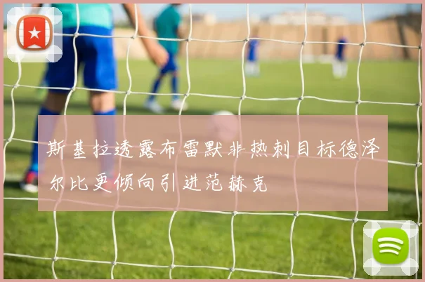 斯基拉透露布雷默非热刺目标德泽尔比更倾向引进范赫克