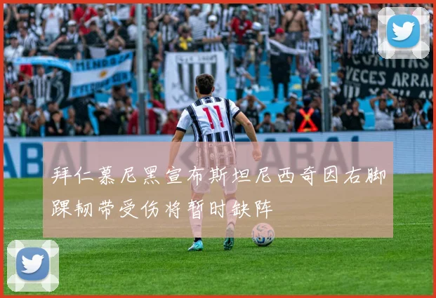 拜仁慕尼黑宣布斯坦尼西奇因右脚踝韧带受伤将暂时缺阵